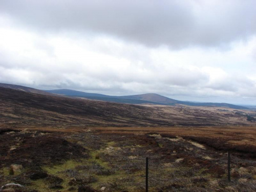 Wicklow Mountains