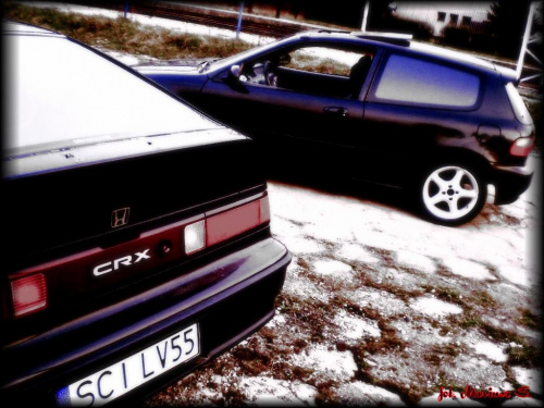 sesja crx vs civic