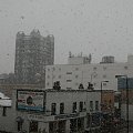 sniezyca w londynie 6 IV 2008