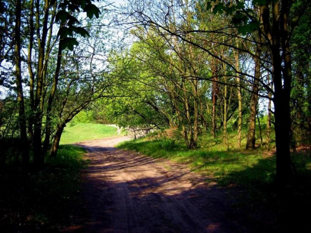 Droga leśna wiosną 2007r.Ostrołęka