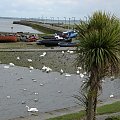 port w Galway