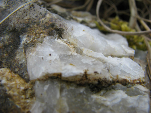 kamień #przyroda #natura #kamień #skała #makrofotografia #kwarc