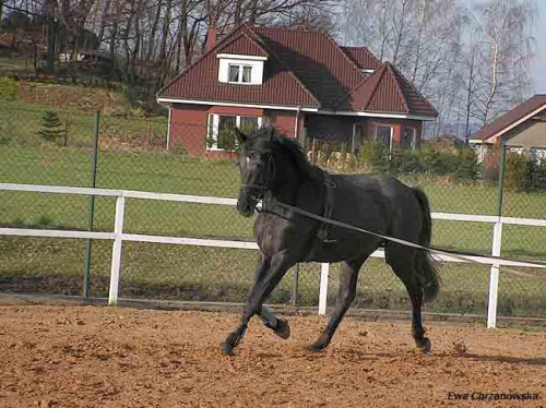 08.04.2008 Łomnica siwek Jasia i Ani