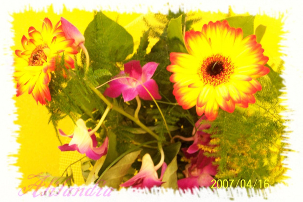 kwiat #kwiat #bukiet