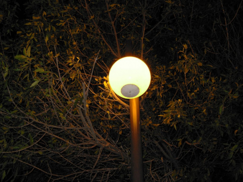 światełko latarni #SantaMonica