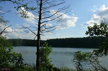 Jezioro Przylasek #JezioroPrzylasek #Mazury #Remes #Rower
