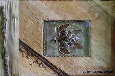 żółwik album na zdjęcia #żółw #żółwik #kolekcja