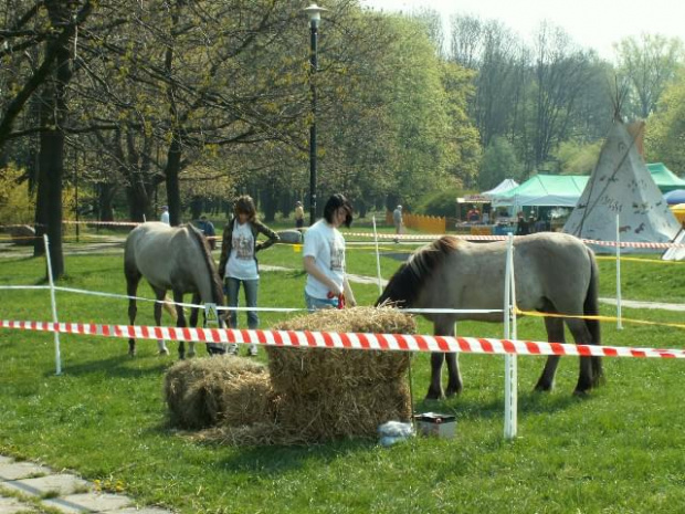 Dzień Ziemi na Polu Mokotowskim. 27.04.2008 rok.