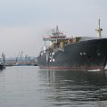 MSC Asli, 24 tys DWT, dł. 217m #Gdynia #port #statek