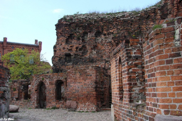 Ruiny zamku krzyżackiego w Toruniu #zamki #zwiedzanie #Krzyżacy