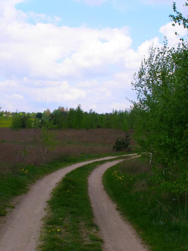 polną drogą...