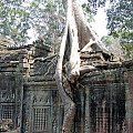 Ta Prohm