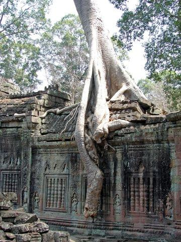 Ta Prohm