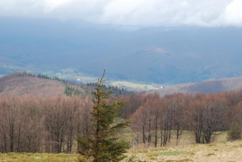 majowe Bieszczady