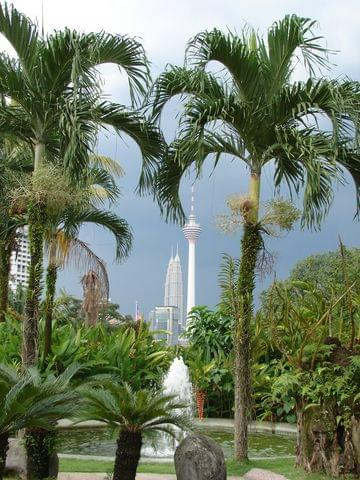 Kuala Lumpur Orchid Garden Ogród Orchidei) i widok na Petronas Towers oraz Menara Kuala Lumpur