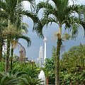 Kuala Lumpur Orchid Garden Ogród Orchidei) i widok na Petronas Towers oraz Menara Kuala Lumpur