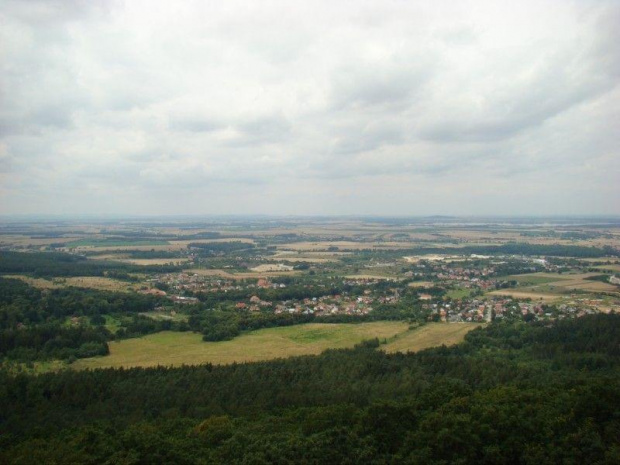 widok z wieży widokowej