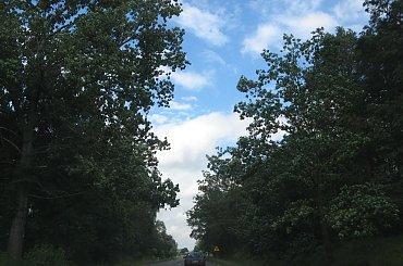 #PowrotZWeselaDoDomu