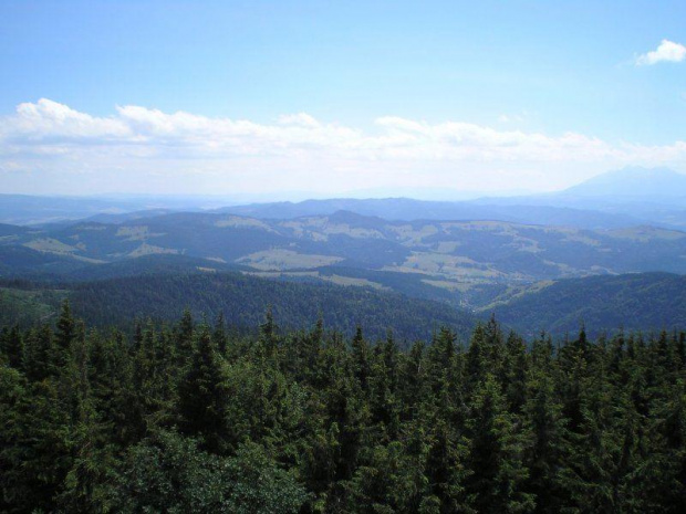 Małe Pieniny z Radziejowej #góry #rower