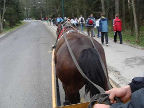 Pawełek i Jasio w Krakowie i Tatrach-maj 2008 z Agatką i Adasiem