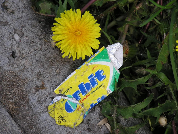 Pamietaj o gumie wiosna #guma #prezerwatywa #przyroda
