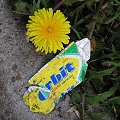 Pamietaj o gumie wiosna #guma #prezerwatywa #przyroda