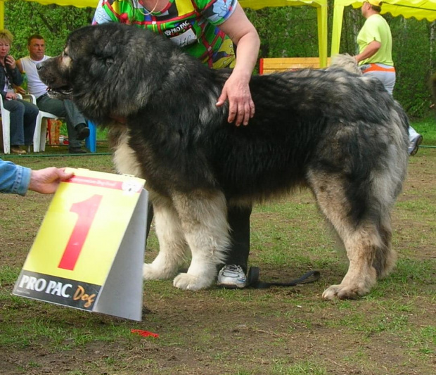 Klubówka Moskwa2008