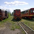 Manewry po przyjeździe pociągu po pierwszym przejeździe z Niechanowa. Na zdjęciu Lxd2-344 i Lxd2-343 . #Lxd2 #GKW #Gniezno #kolej