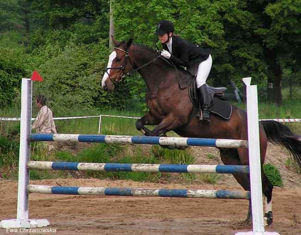 16.05.2008 Zawody Rybnik