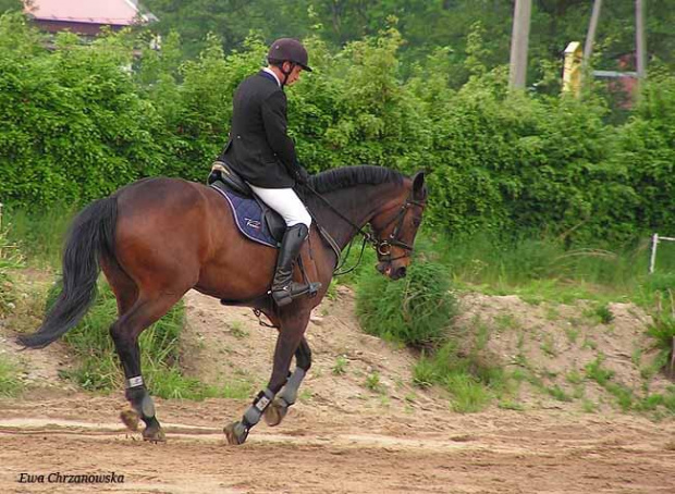 17.05.2008 Zawody w Stodołach