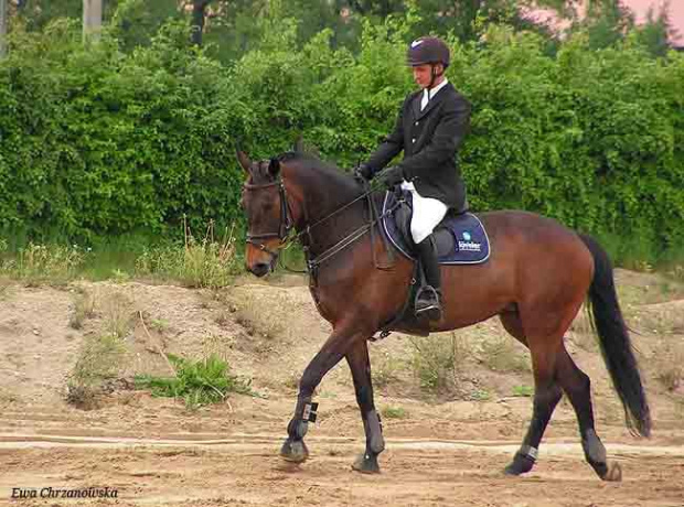 17.05.2008 Zawody w Stodołach