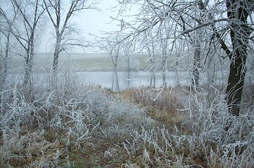 #jezioro #zima #ścieżka