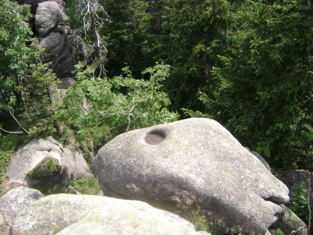 Panorama Kotliny Jeleniogórskiej z Hutniczego Grzbietu w Karkonoszach