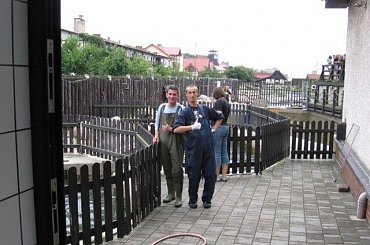 wolontariat #wakacje #foki #hel