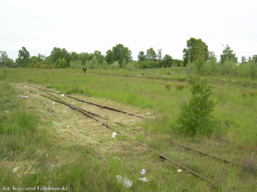 Większość rozjazdów wykoszono.