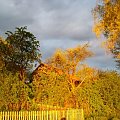 Zaczarowane miejsce