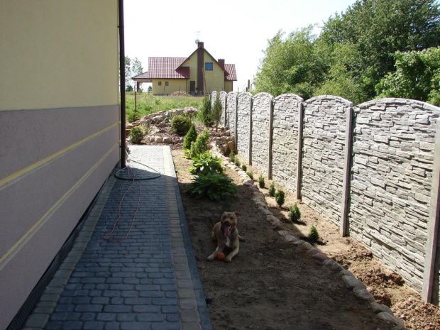 nasz przyjaciel Brus :)))
