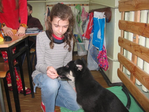 Mimi po znalezieniu :) cała klasa zajmuje się małą znajdą #pies #psy #zwierzęta #dzieci