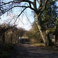 Kadzidłowo