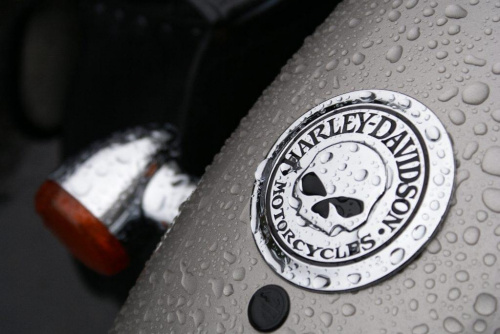 #HarleyDavidson #Harley #GrupaGalicja #Zlot #Bieszczady #Motocykl