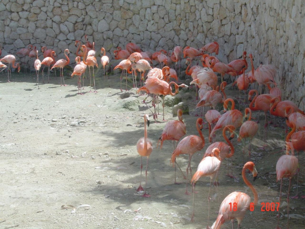 Xcaret