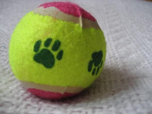 Piłka tenisowa dla psa na bazarek, z którego zysk zostanie przeznaczony na leczenie Majki- kotki chorej na białaczkę. #BazarekMajaPiłkaTenisowaDlaPsa