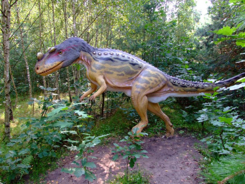 Ceratozaur #dinozaur #ceratozaur
