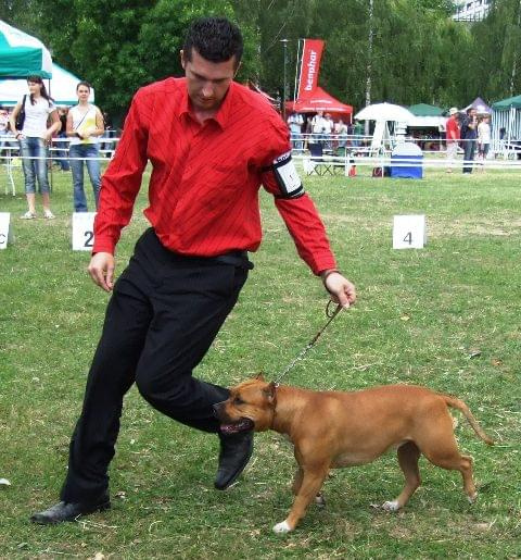 krk2008