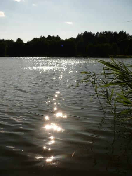 Słońce kąpie się w jeziorze