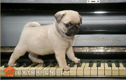 www.extrafun.pl #extrafun