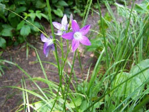 #bieszczady