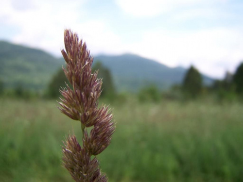 #bieszczady