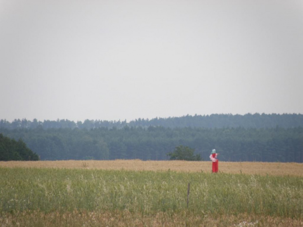 południca...