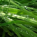 #natura